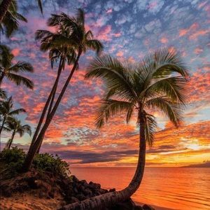 Meet your Posher, Kristine